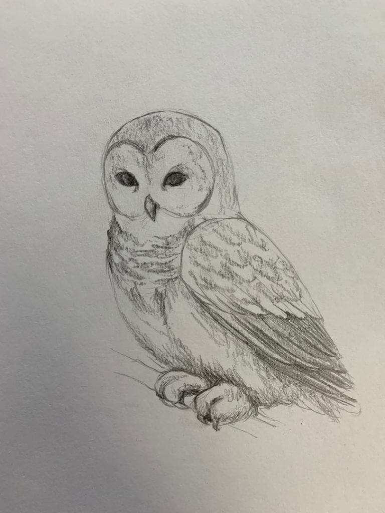 Как нарисовать сову карандашом