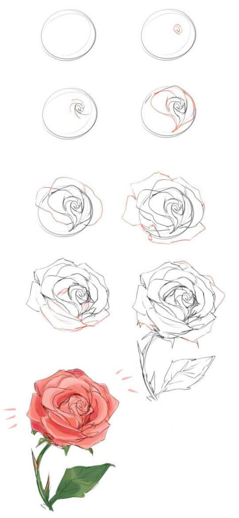 как рисовать розу для начинающих
