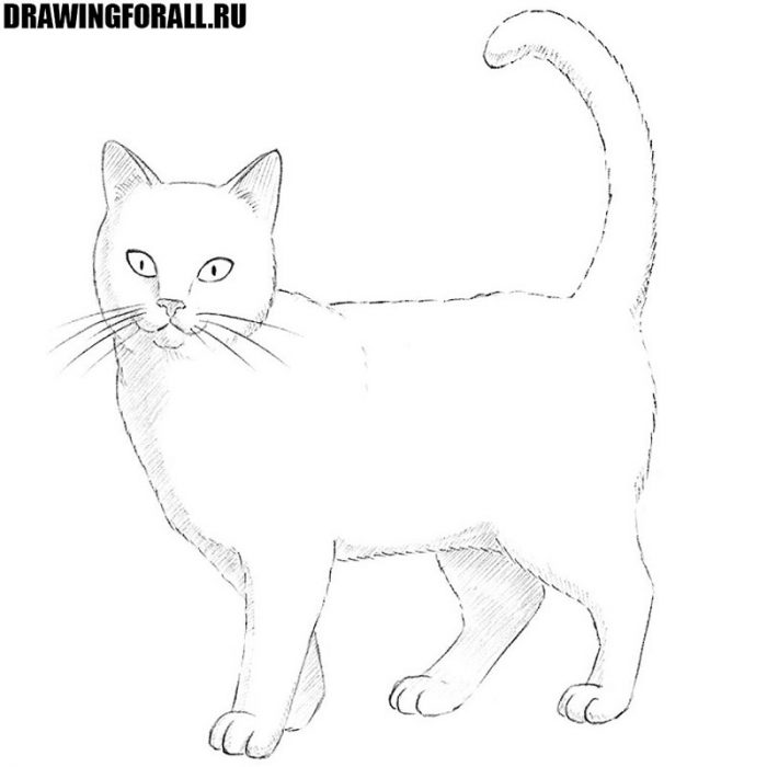 как нарисовать кошку