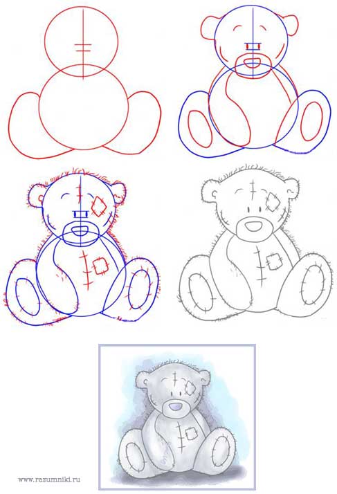 как нарисовать мишку тедди