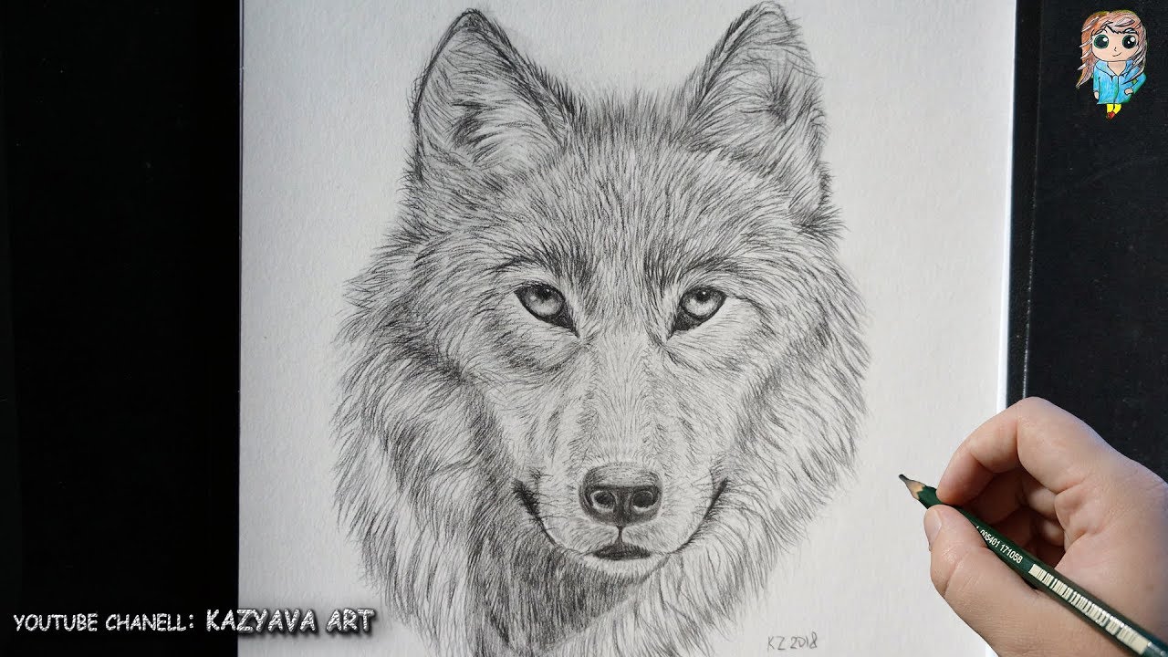 Красиво нарисовать мордочку волка карандашом