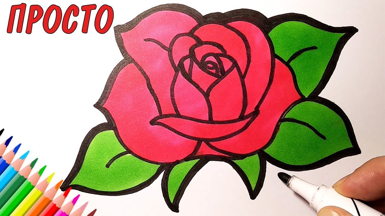 Учимся рисовать розу на Видео