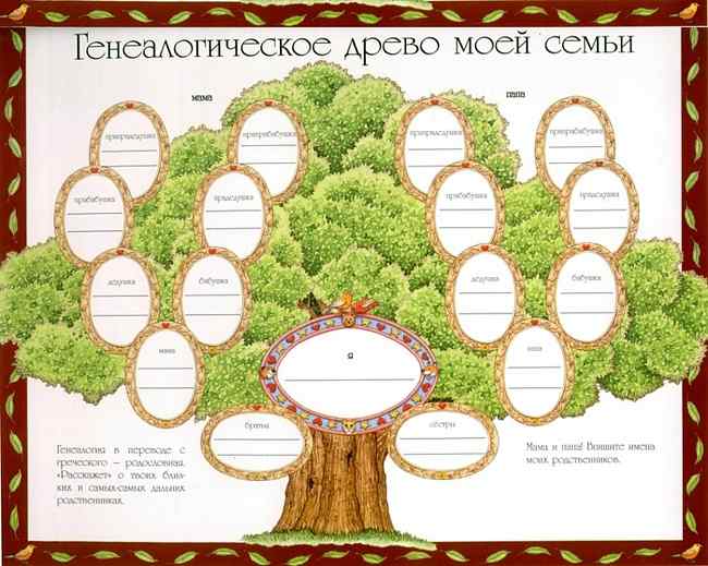 Как нарисовать генеалогическое дерево