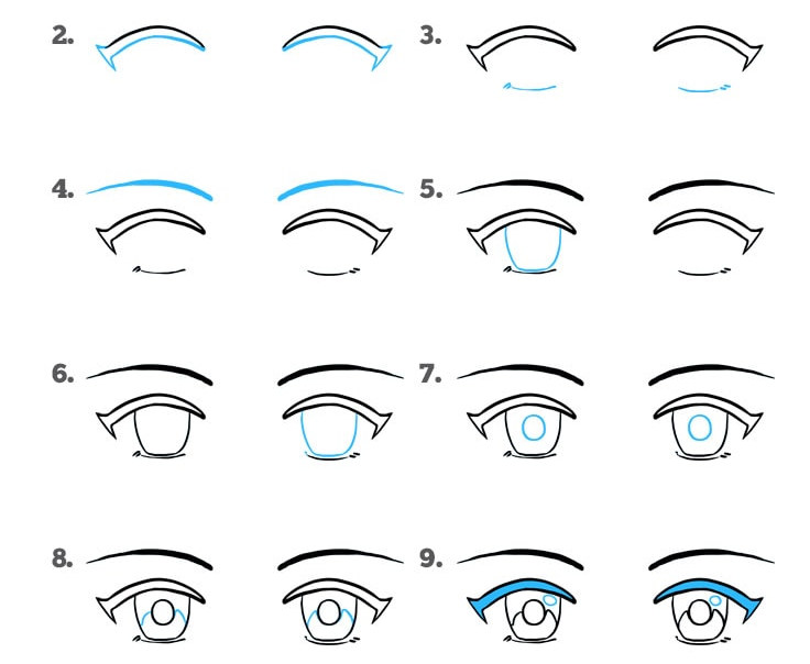 Как нарисовать глаза аниме пошагово