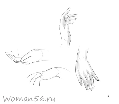Как нарисовать руку поэтапно