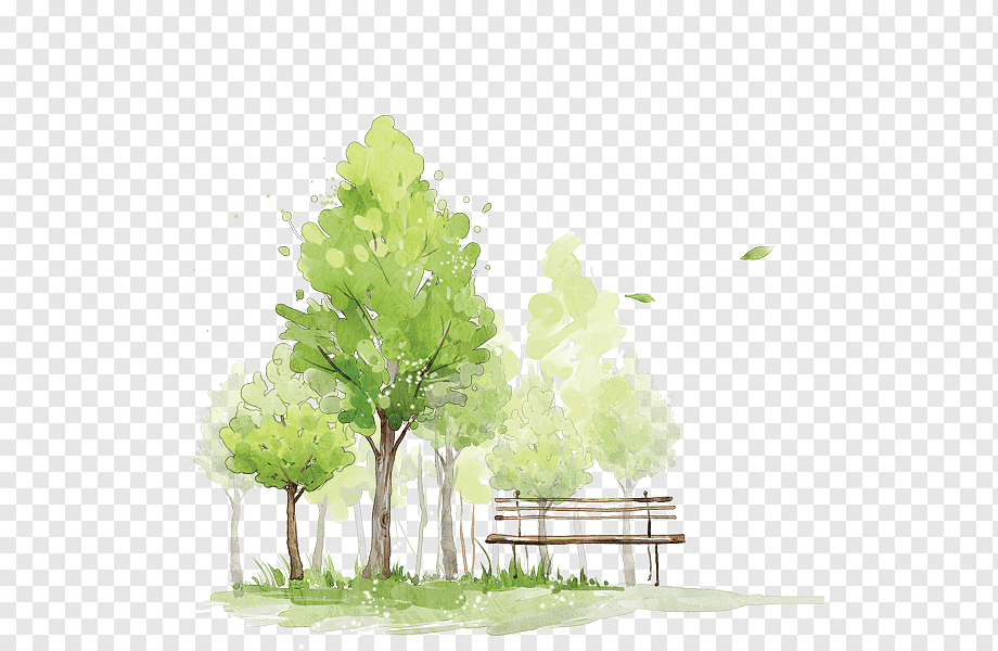 Как нарисовать зеленое дерево