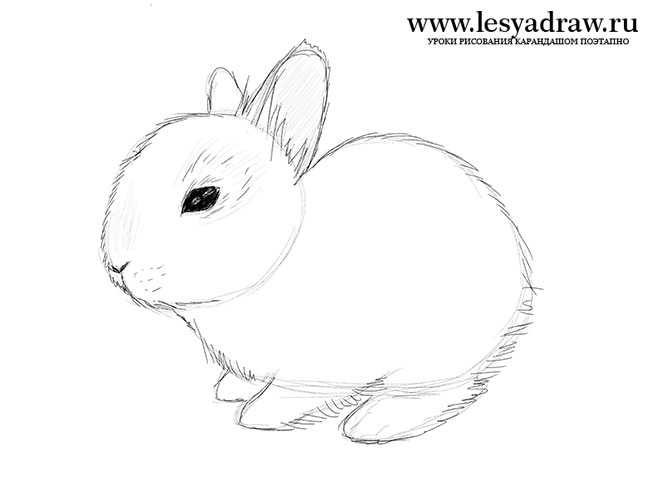 рисовать кролика